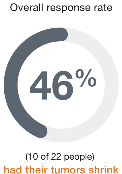 46%