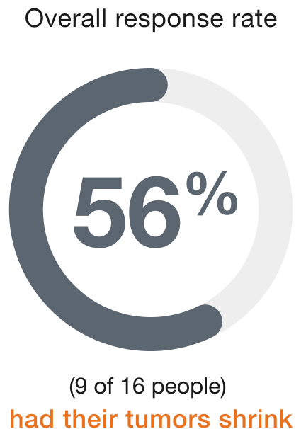 56%