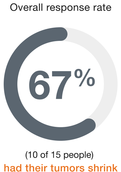 67% 15 people
