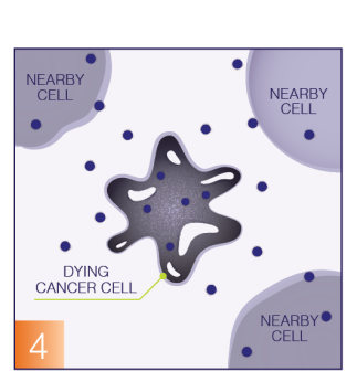 Destroy cancer cell graphic