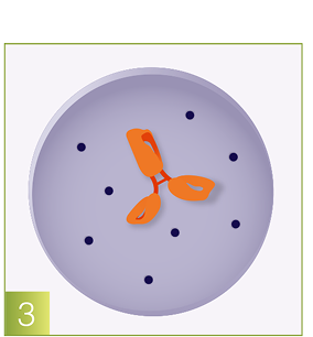 Cancer cell graphic
