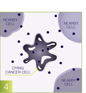 Destroy cancer cell graphic