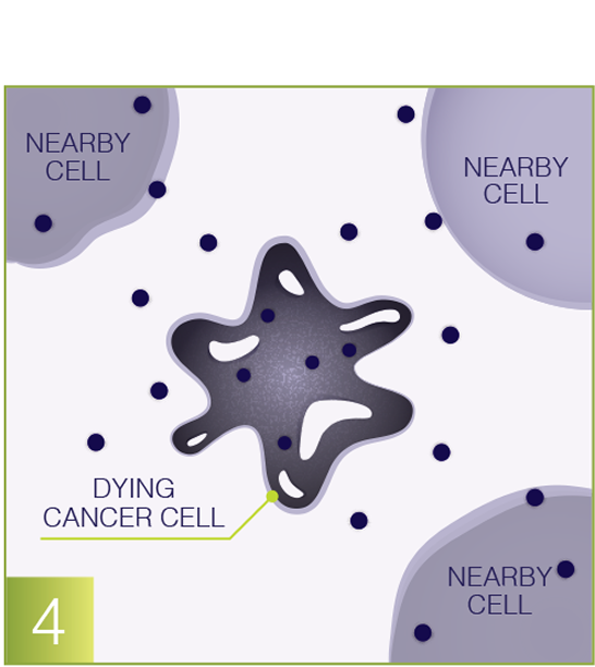 Destroy cancer cell graphic