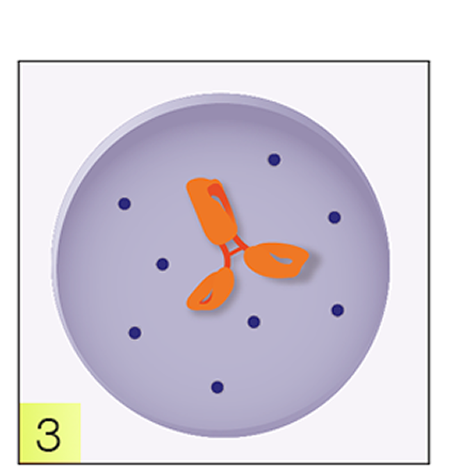 Cancer cell graphic