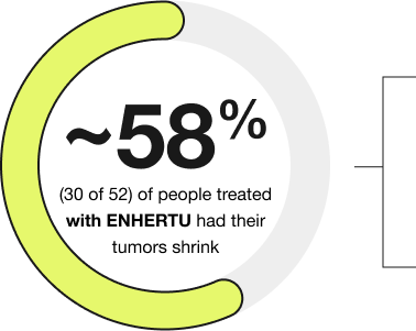 ENHERTU response rate