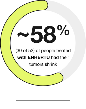 ENHERTU response rate