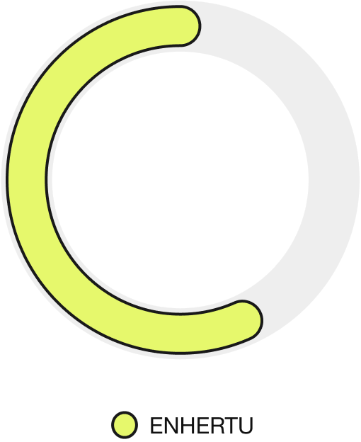 ENHERTU response rate