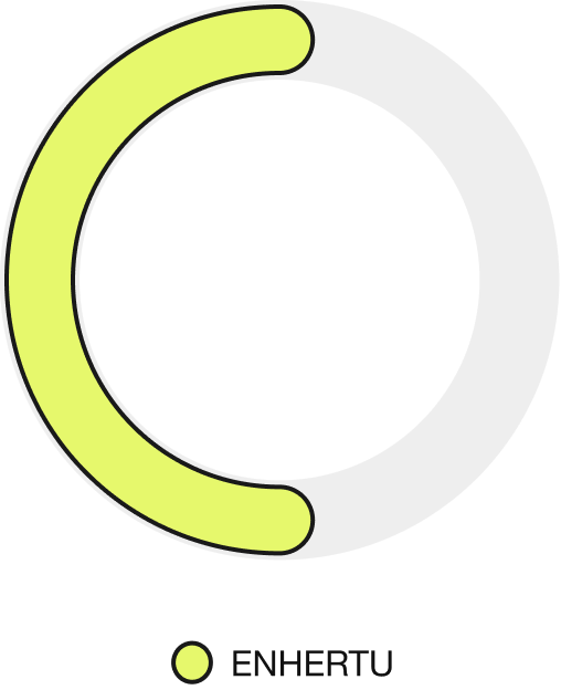 ENHERTU overall response rate