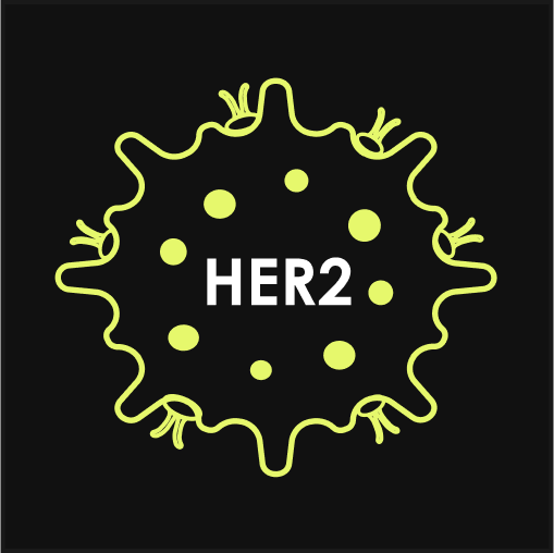 HER2 molecule icon